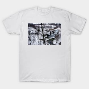 Albion Falls Gorge Winter T-Shirt